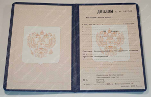 Диплом ПТУ 1993-2006 года Диплом ПТУ 1993-2006 года